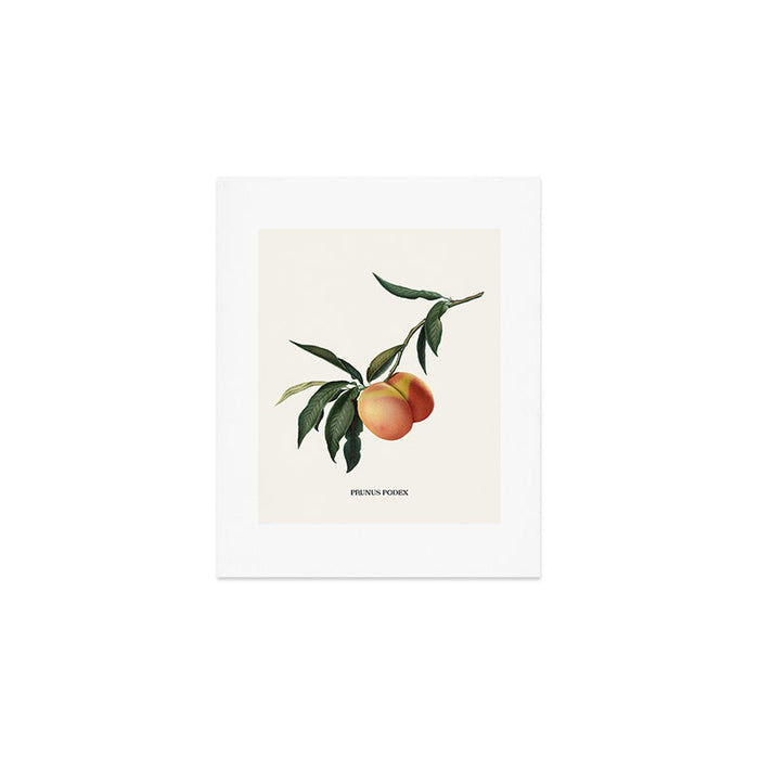 Beach Peach Art Print Gallery Image 1