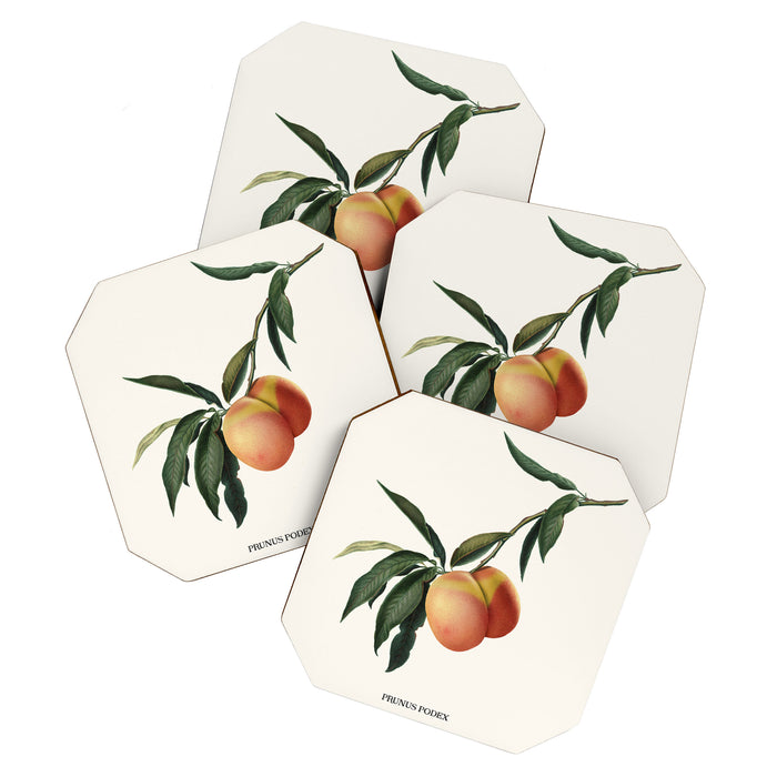 Beach Peach Coaster Gallery Image 1