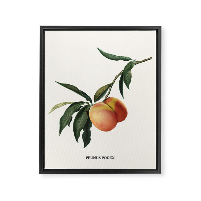 Beach Peach Framed Canvas Print Gallery Image 1