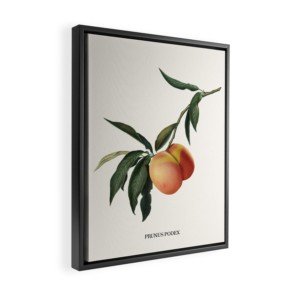 Beach Peach Framed Canvas Print Gallery Image 2