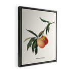 Beach Peach Framed Canvas Print Gallery Image 2