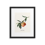 Beach Peach Framed Art Print Gallery Image 5