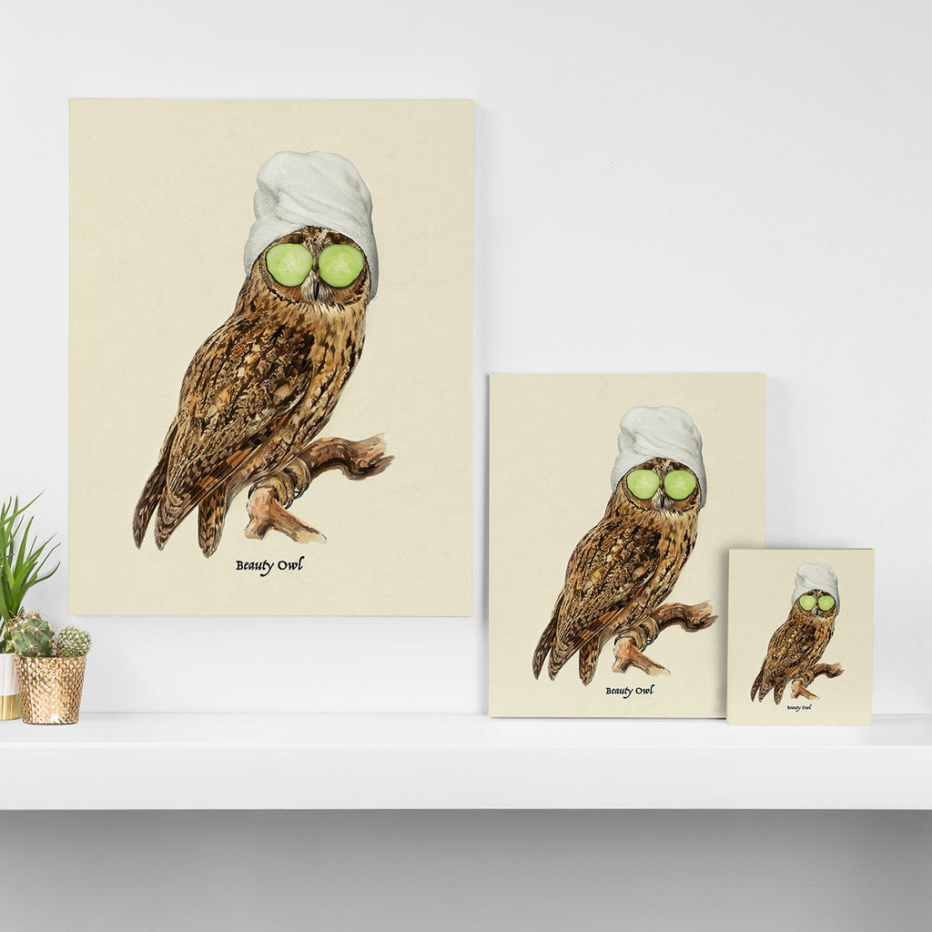 Beauty Owl Canvas Print Gallery Image 3