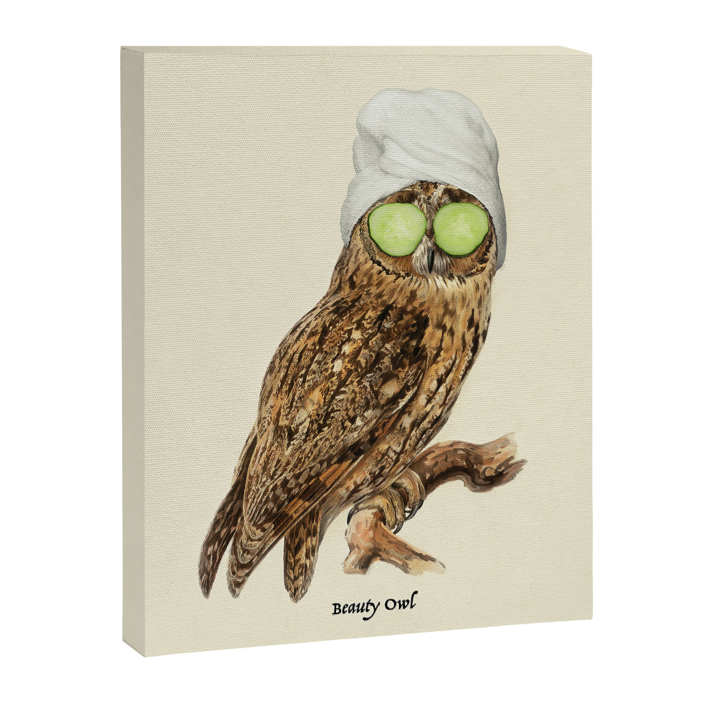 Beauty Owl Canvas Print