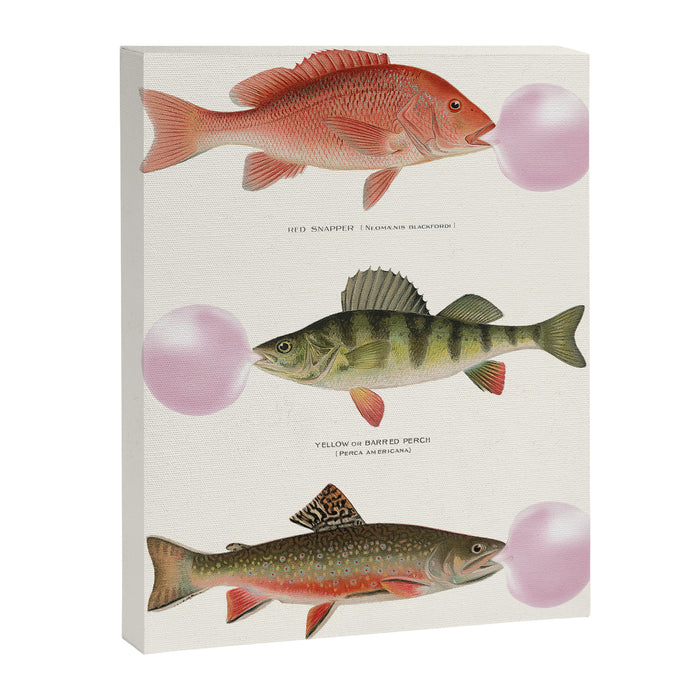 Bubblegum Fish Canvas Print Gallery Image 1