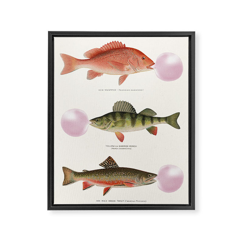 Bubblegum Fish Framed Canvas Print Gallery Image 6
