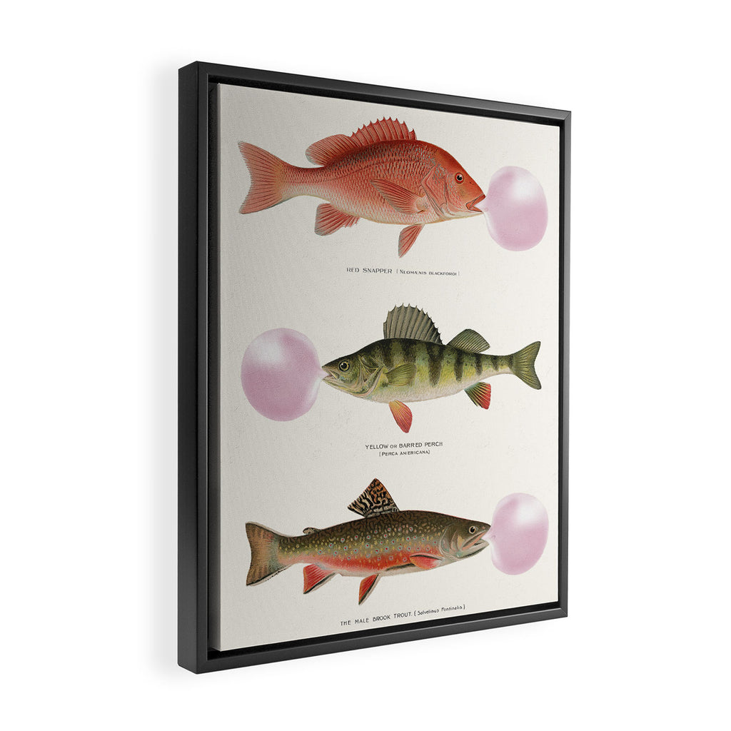 Bubblegum Fish Framed Canvas Print Gallery Image 2