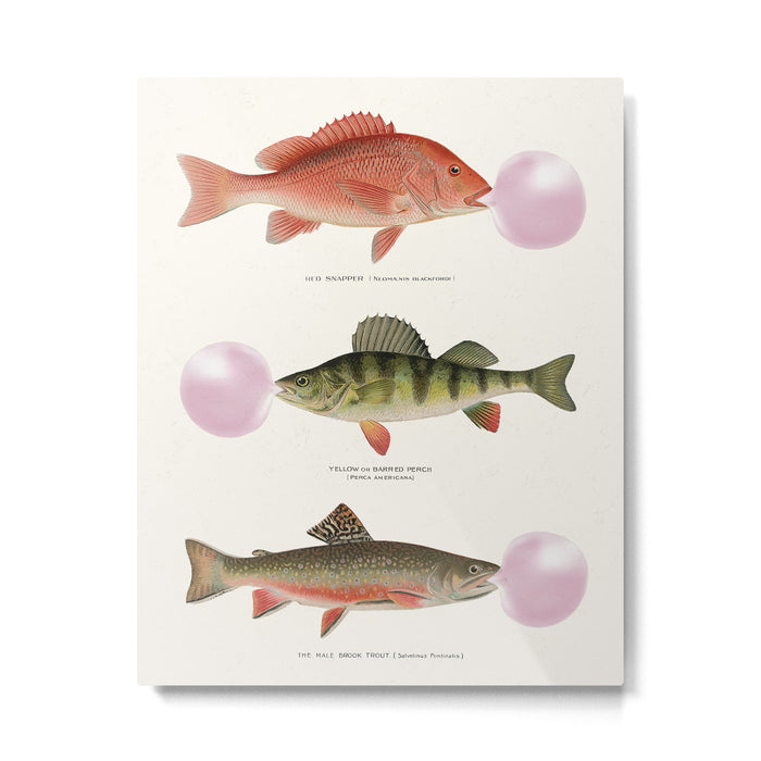Bubblegum Fish Metal Print Gallery Image 1