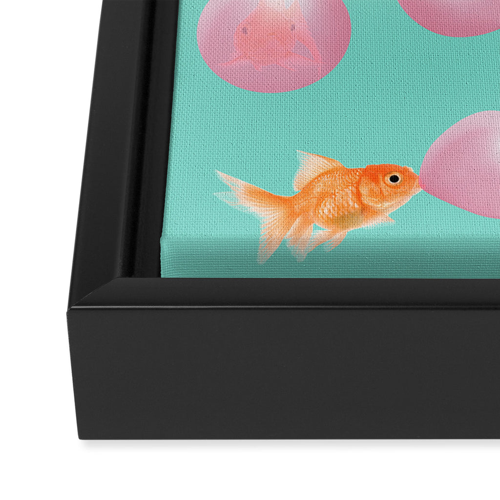 BUBBLEGUM GOLDFISH Framed Canvas Print Gallery Image 3