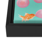 BUBBLEGUM GOLDFISH Framed Canvas Print Gallery Image 3
