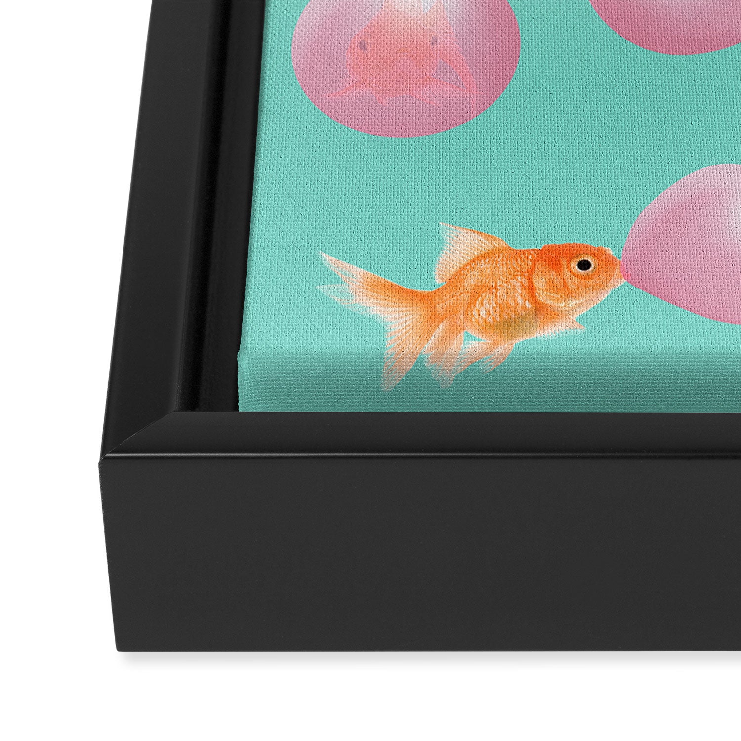 BUBBLEGUM GOLDFISH Framed Canvas Print Gallery Image 3