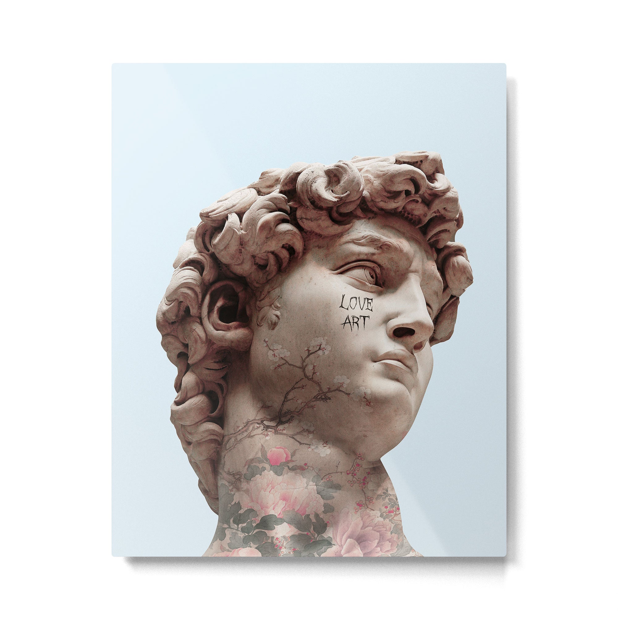 DAVID LOVES ART Metal Print Gallery Image 4