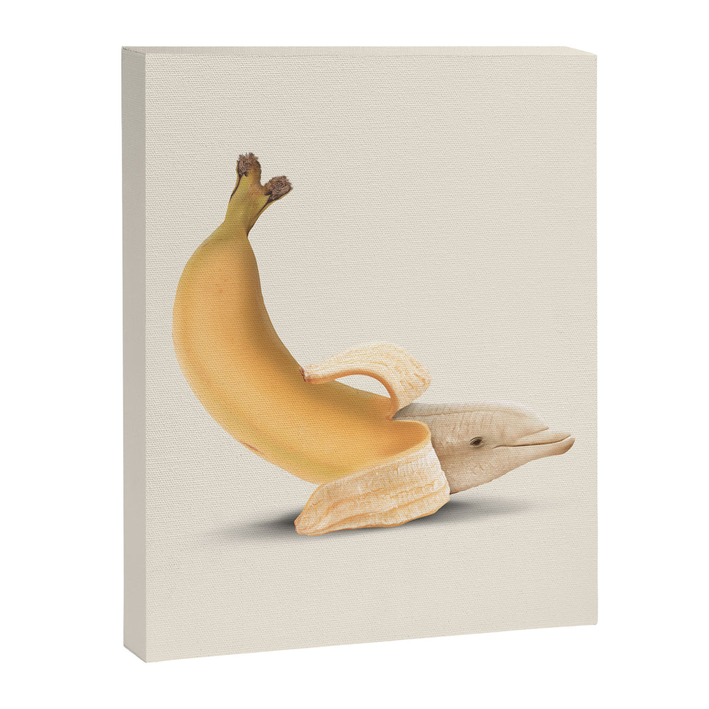 Dolphana Canvas Print Gallery Image 6