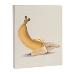 Dolphana Canvas Print Gallery Image 6