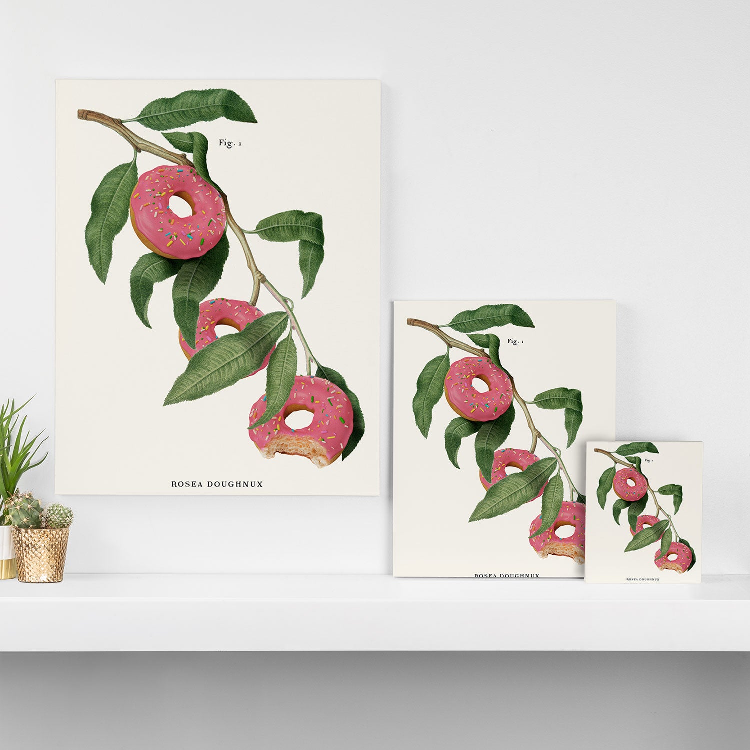 Donut Plant Canvas Print Gallery Image 3