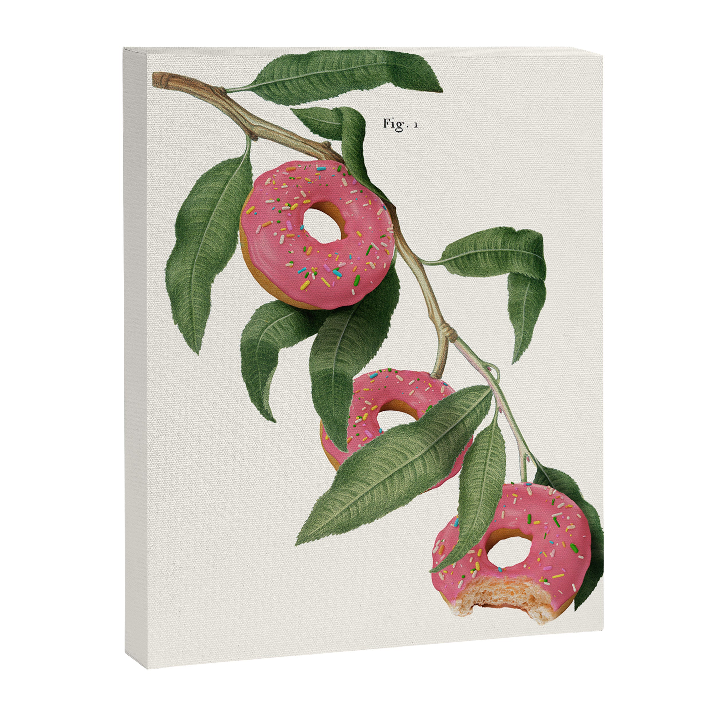 Donut Plant Canvas Print Gallery Image 6