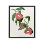 Donut Plant Framed Canvas Print Gallery Image 6