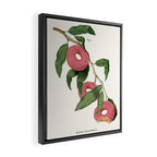Donut Plant Framed Canvas Print Gallery Image 2