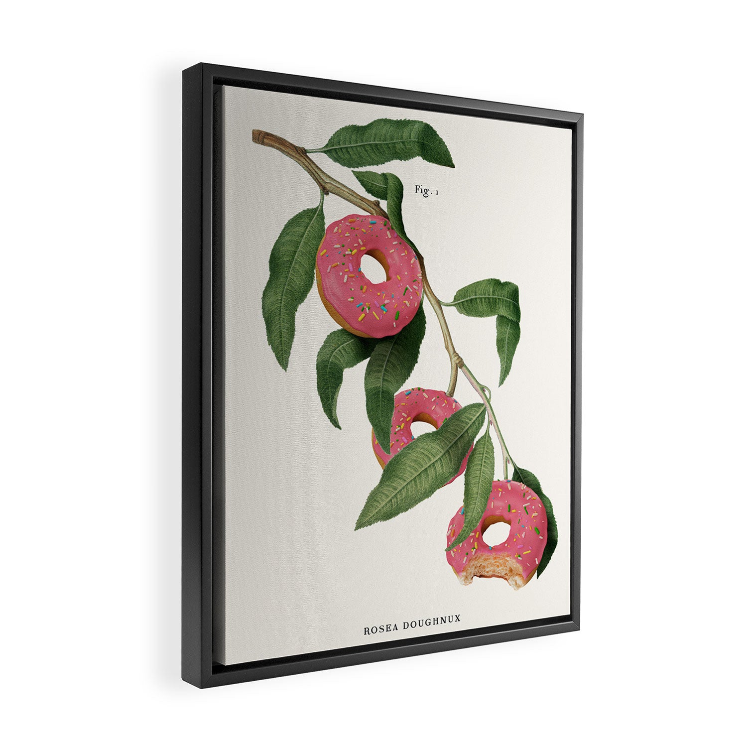 Donut Plant Framed Canvas Print Gallery Image 2