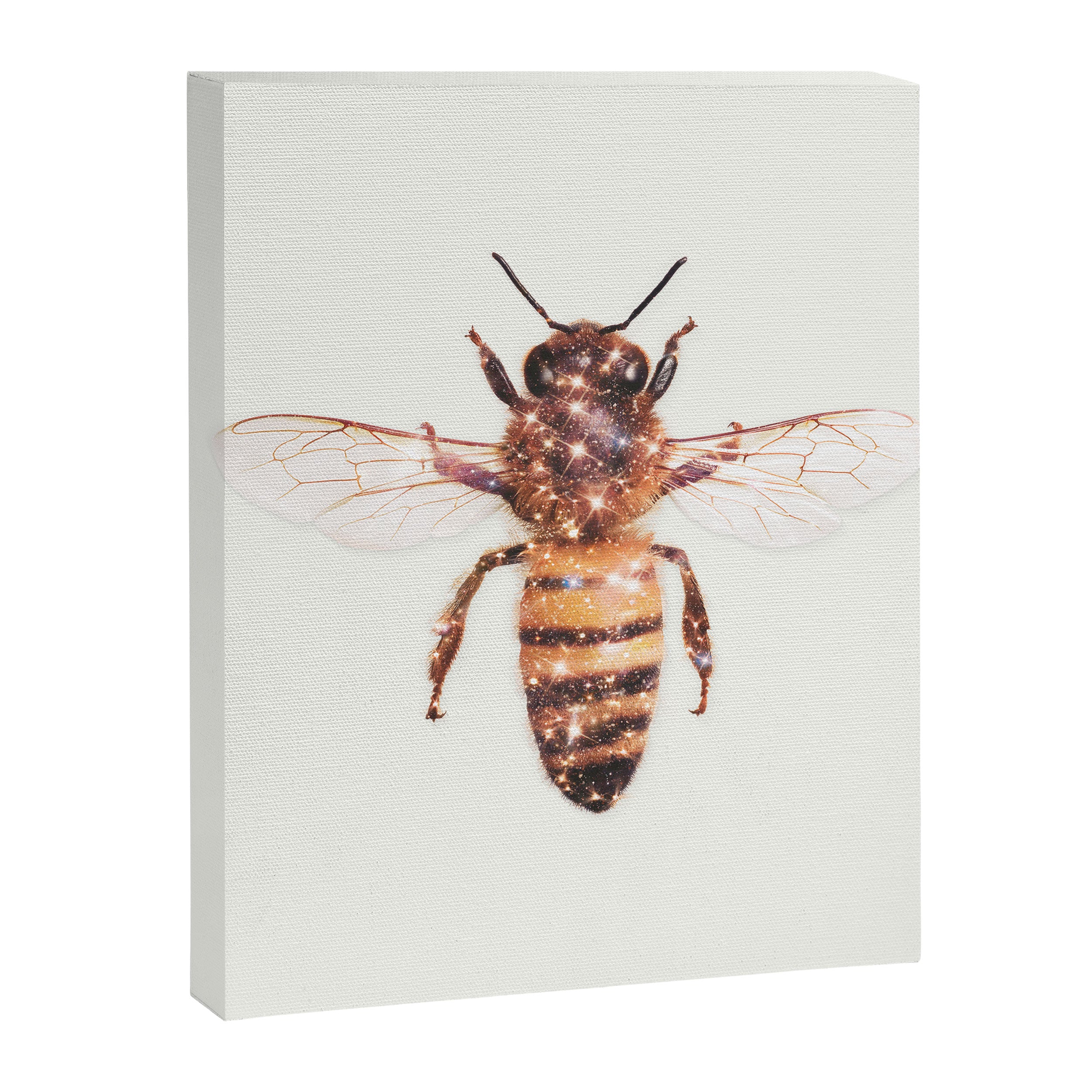 GLITTER BEE Canvas Print Gallery Image 6