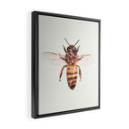 GLITTER BEE Framed Canvas Print Gallery Image 2
