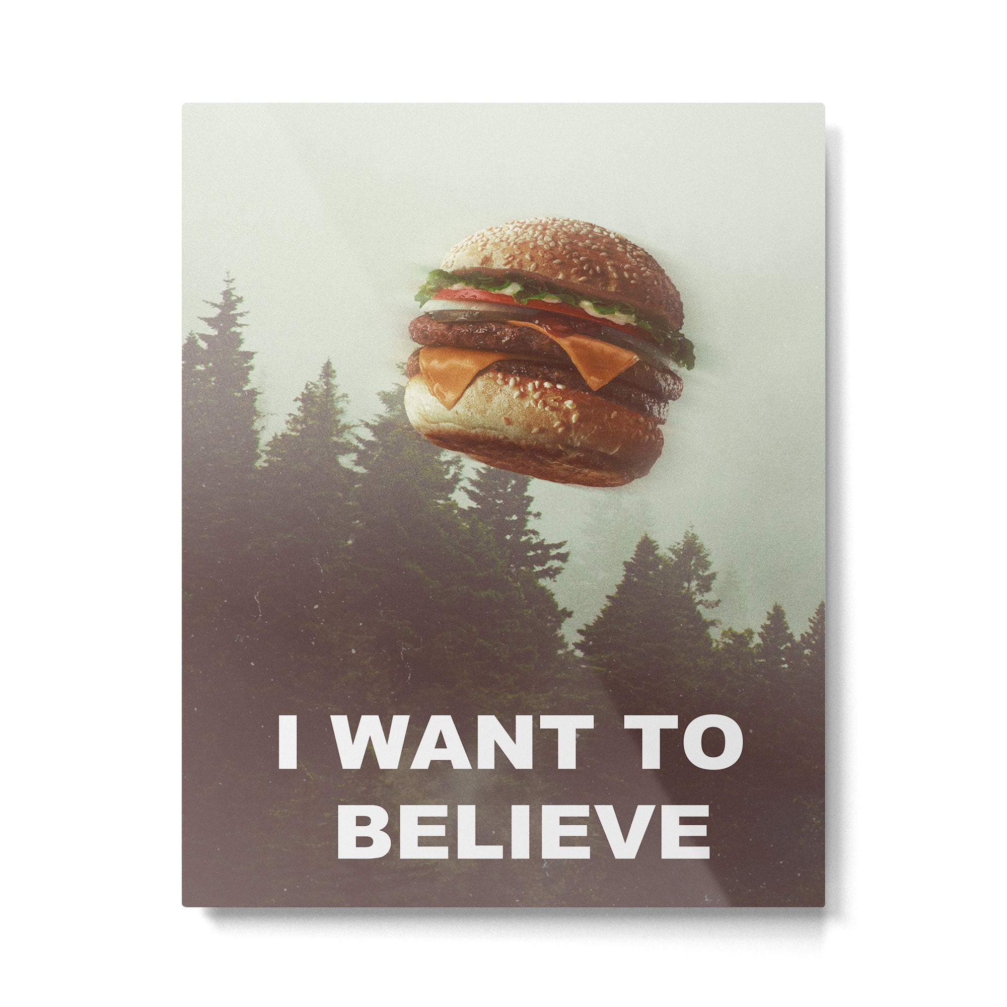 I Want To Believe Metal Print Gallery Image 4