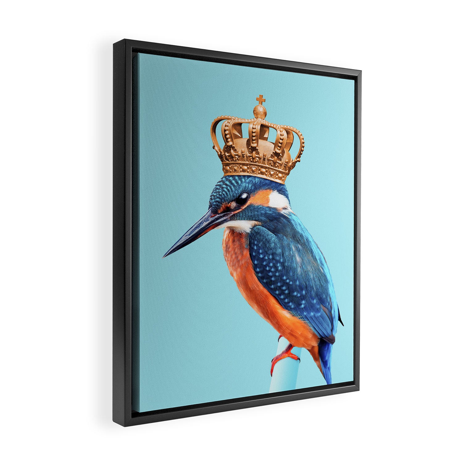KINGFISHER Framed Canvas Print Gallery Image 2