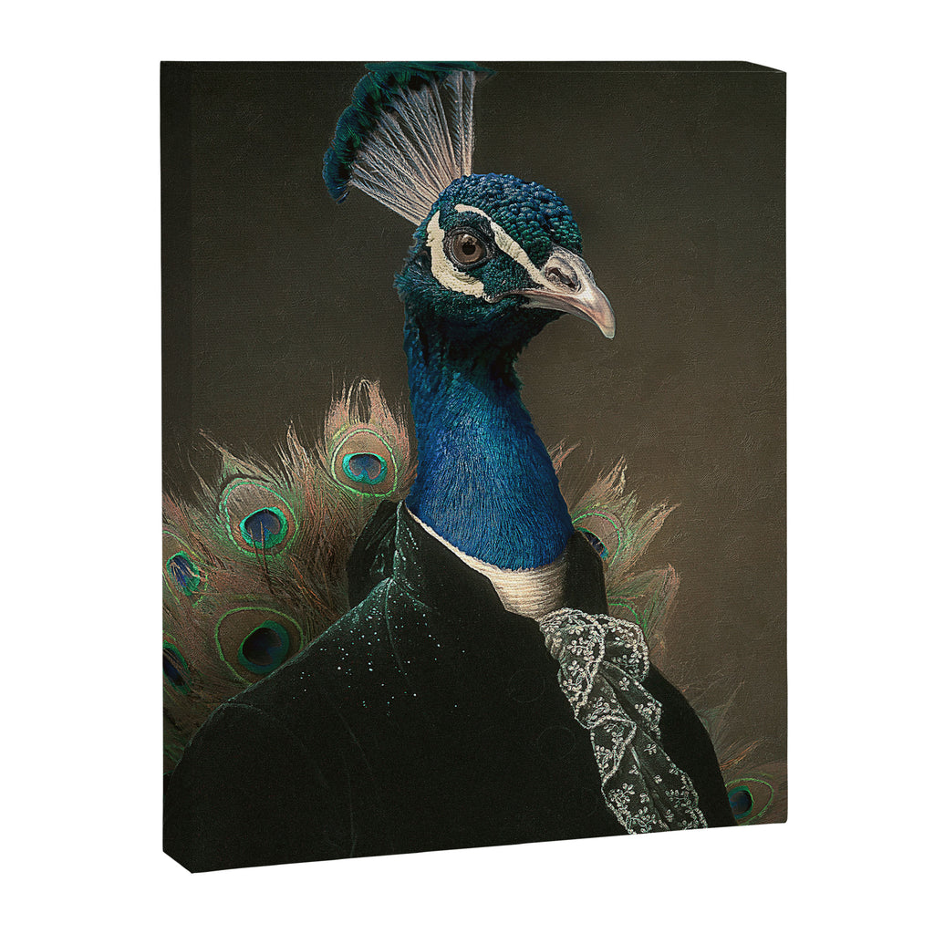 Lord Peacock Canvas Print Gallery Image 6