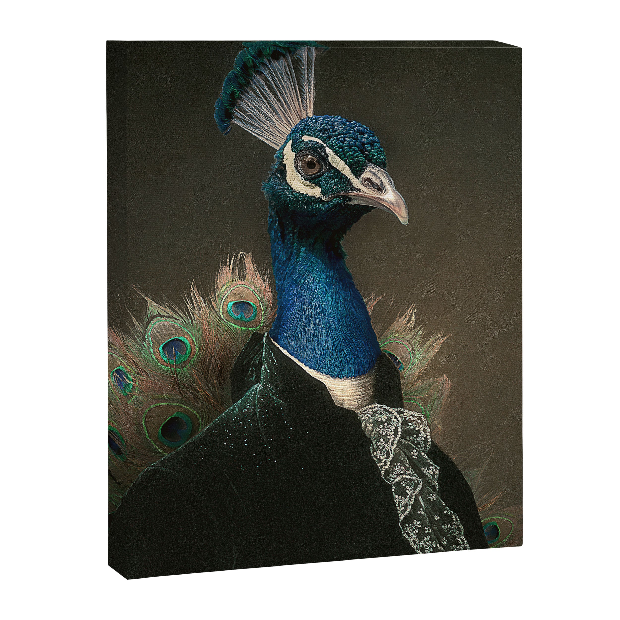 Lord Peacock Canvas Print Gallery Image 6
