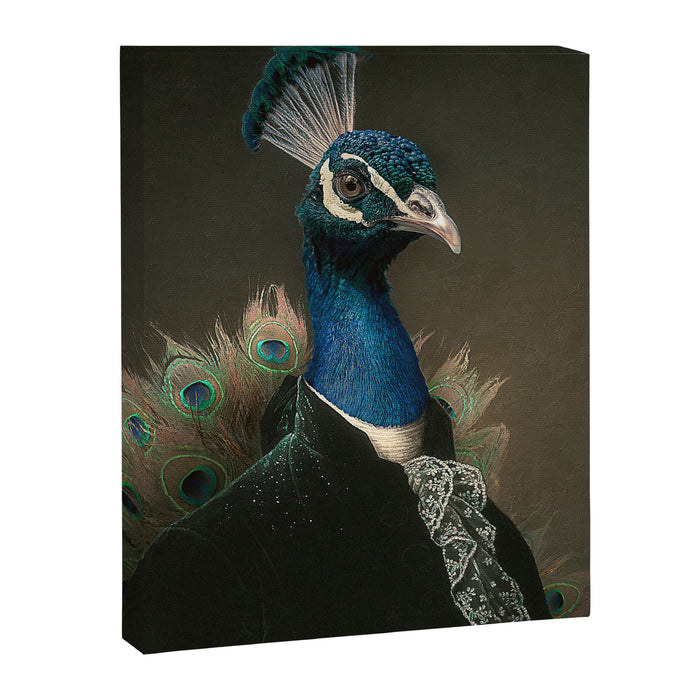 Lord Peacock Canvas Print Gallery Image 1