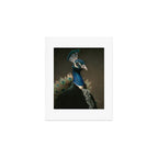 Lord Peacock Art Print Gallery Image 1