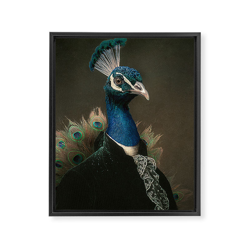 Lord Peacock Framed Canvas Print Gallery Image 6