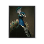 Lord Peacock Framed Canvas Print Gallery Image 6