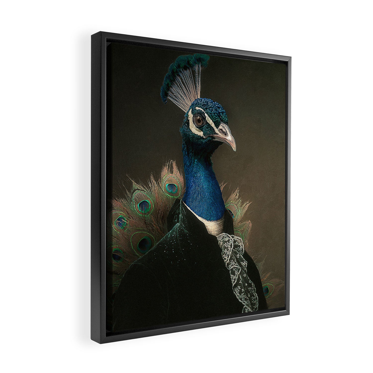 Lord Peacock Framed Canvas Print Gallery Image 2