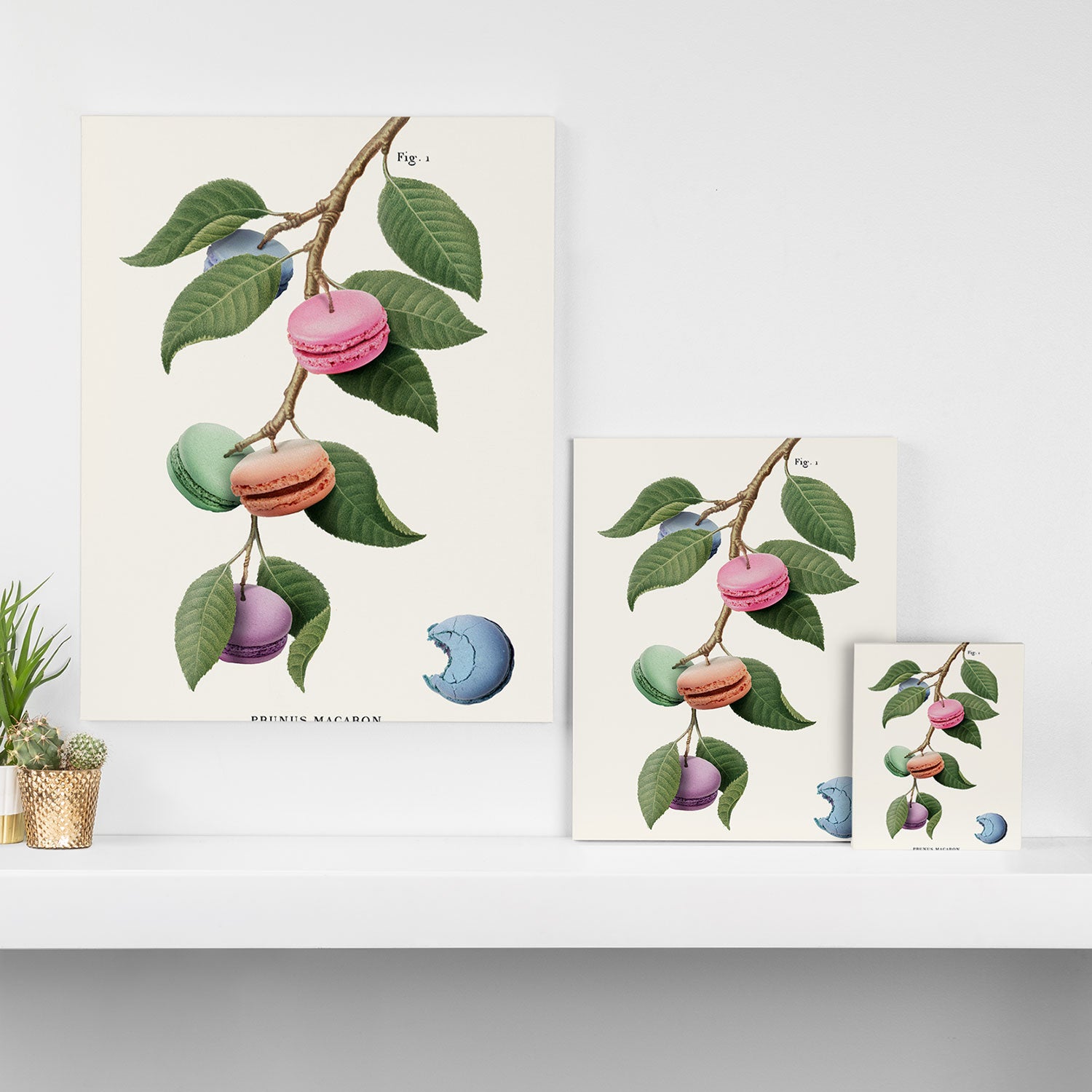 Macaron Plant Canvas Print Gallery Image 3