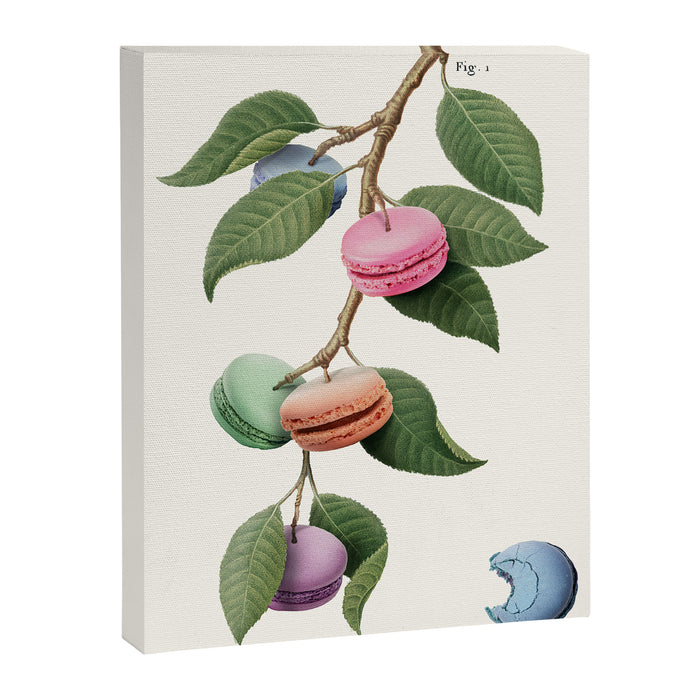 Macaron Plant Canvas Print Gallery Image 1
