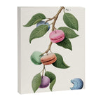 Macaron Plant Canvas Print Gallery Image 3