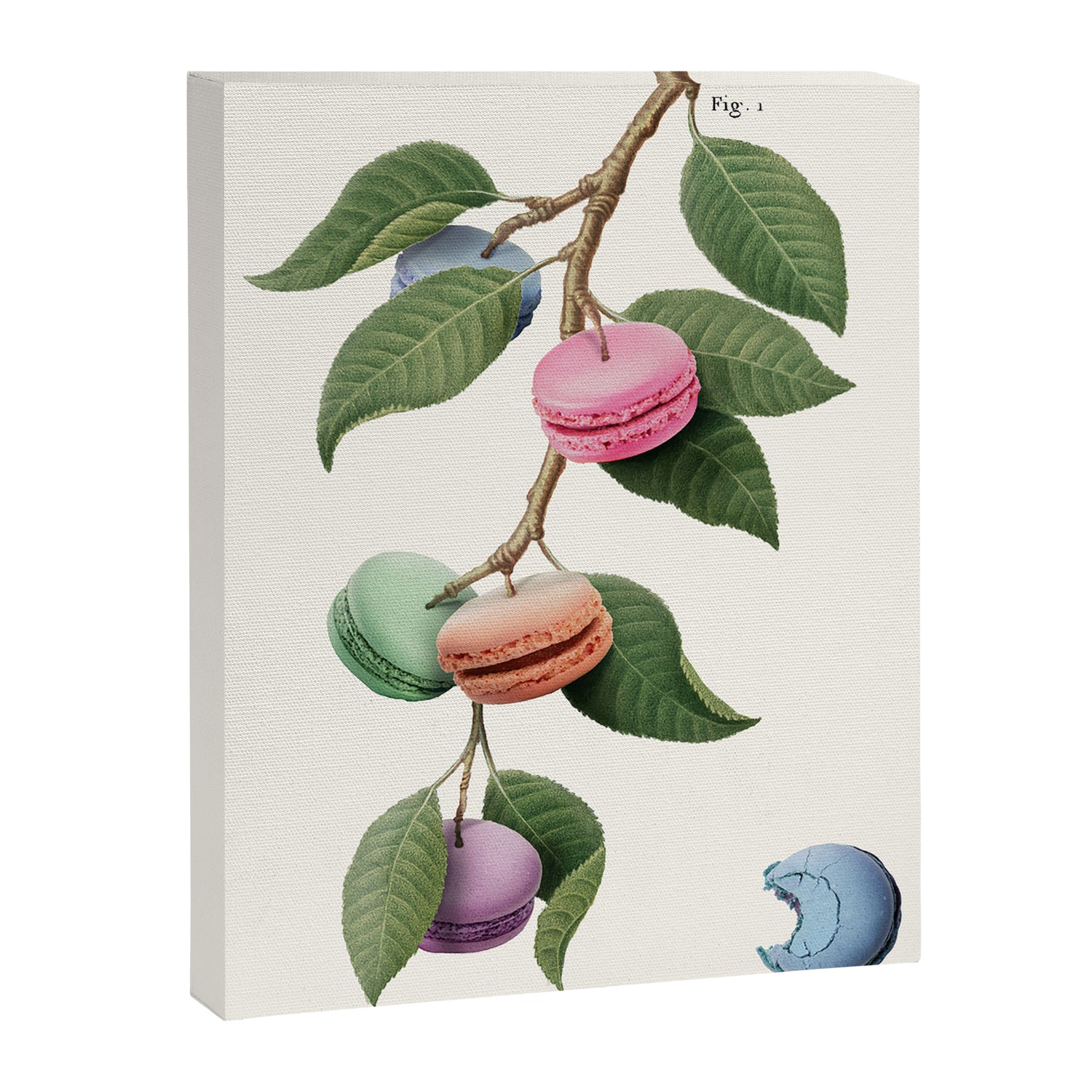 Macaron Plant Canvas Print Gallery Image 3