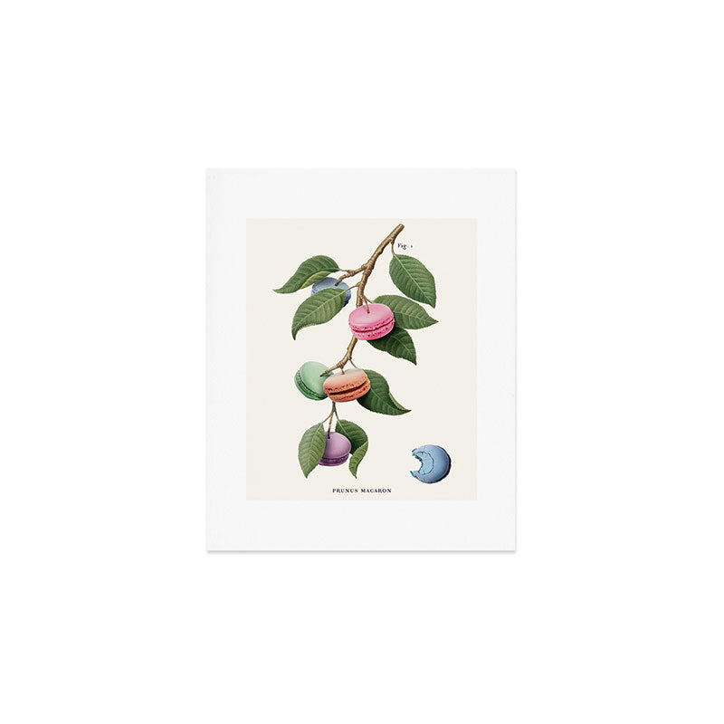 Macaron Plant Art Print Gallery Image 1