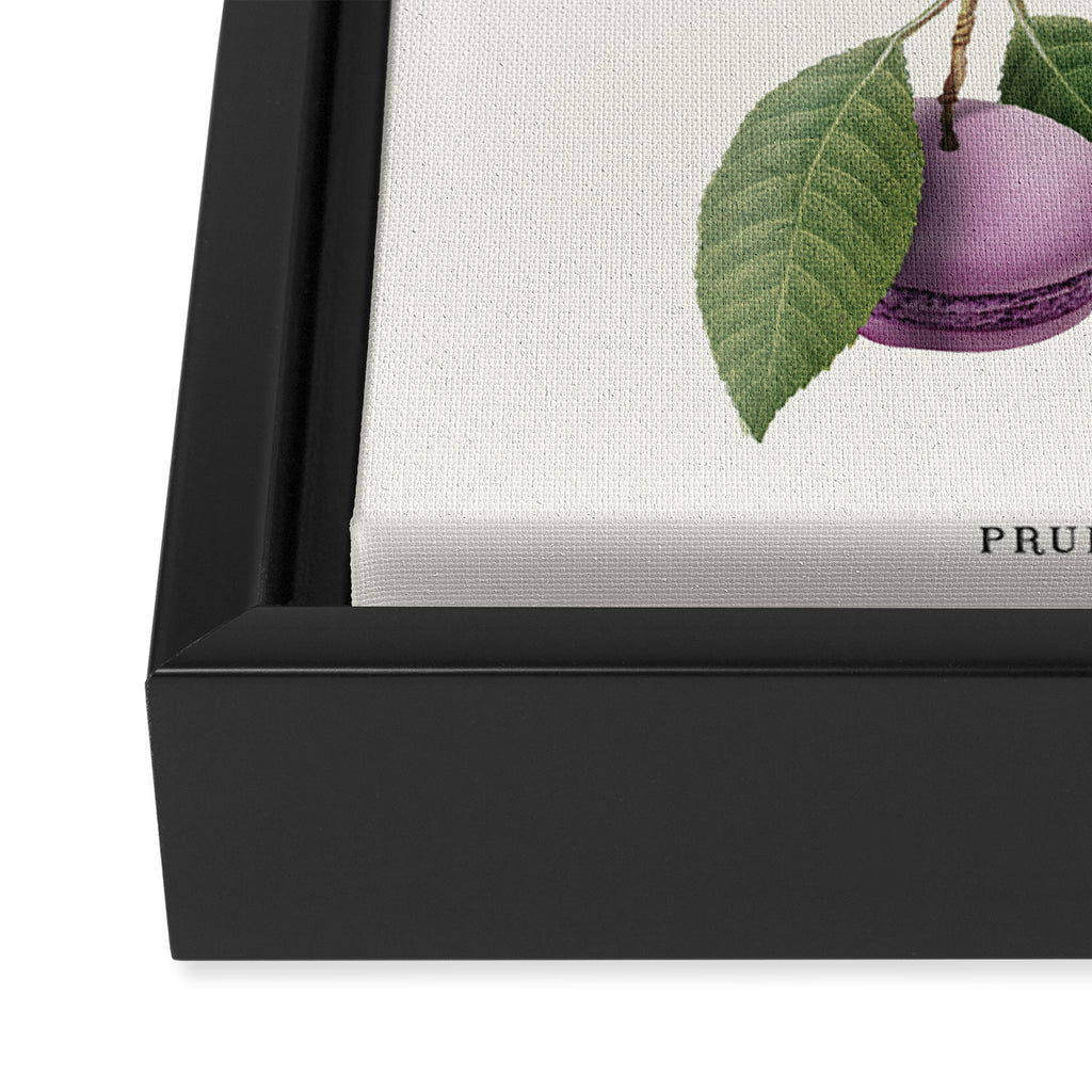 Macaron Plant Framed Canvas Print Gallery Image 3