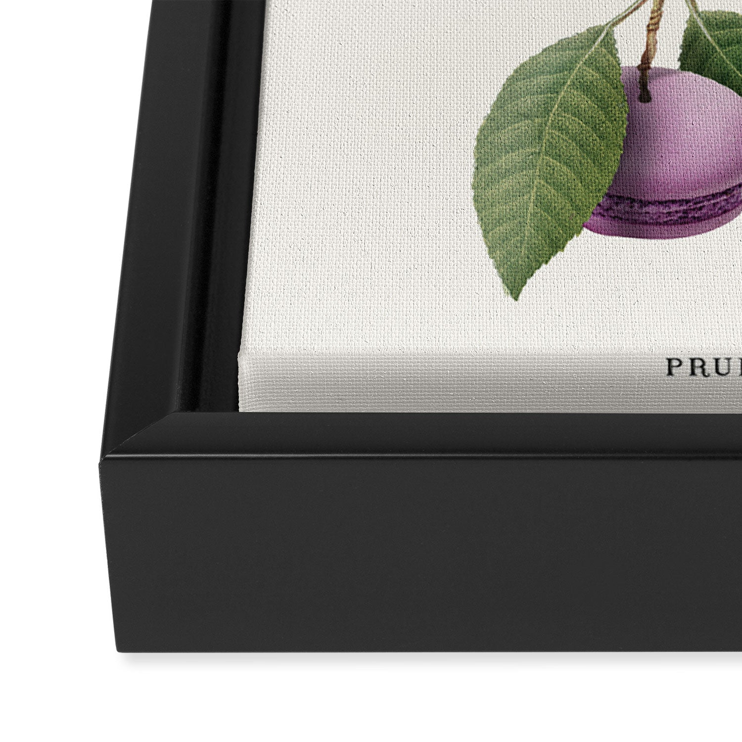 Macaron Plant Framed Canvas Print Gallery Image 3