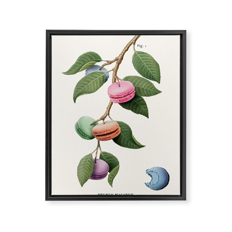 Macaron Plant Framed Canvas Print Gallery Image 6
