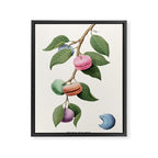 Macaron Plant Framed Canvas Print Gallery Image 6