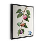 Macaron Plant Framed Canvas Print Gallery Image 2