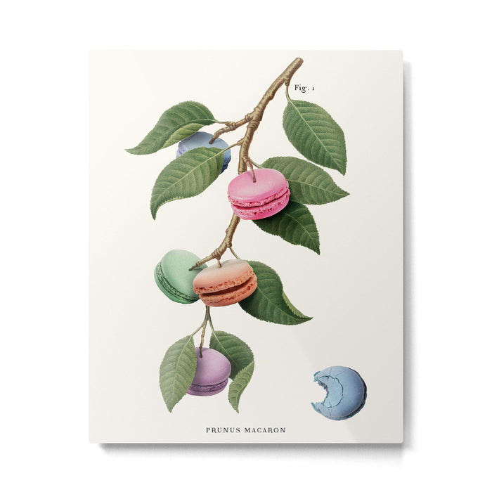Macaron Plant Metal Print Gallery Image 1