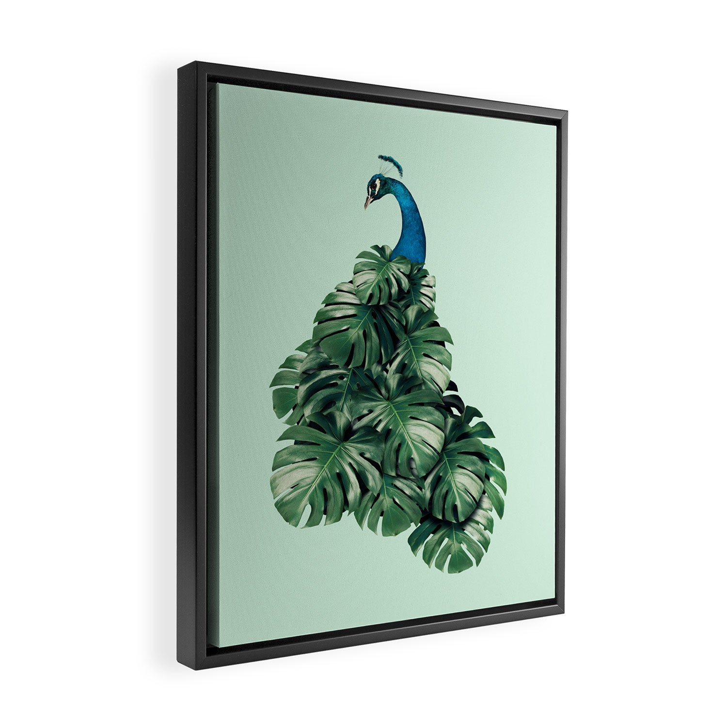 MONSTERA BIRD Framed Canvas Print Gallery Image 2