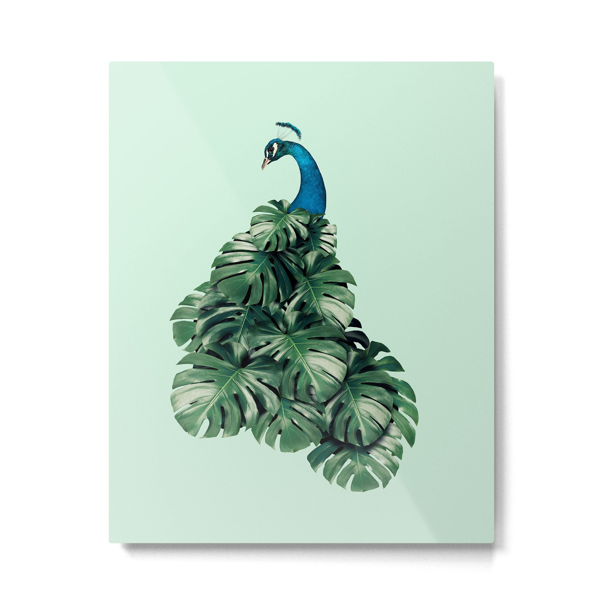 MONSTERA BIRD Metal Print Gallery Image 4