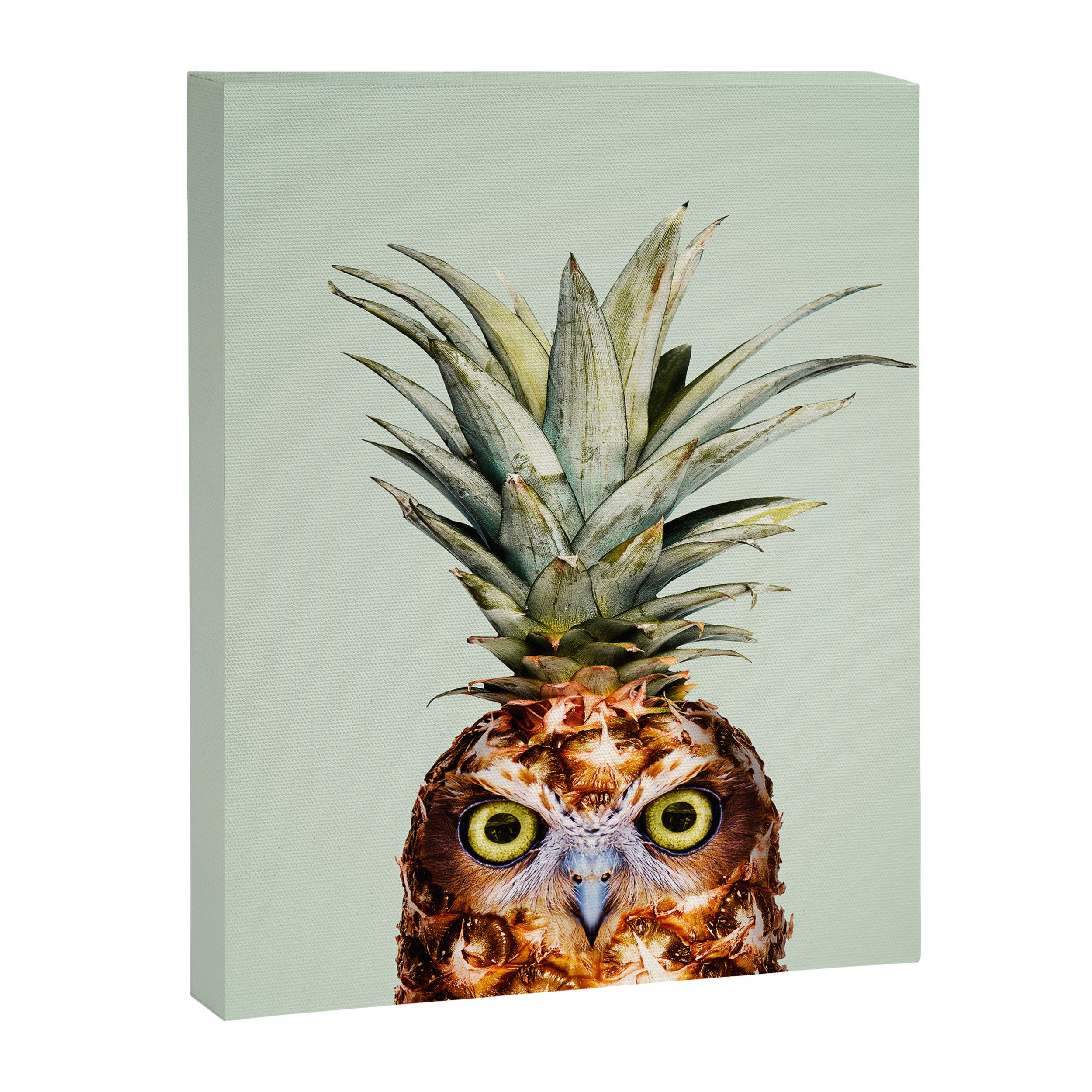 PINEAPPLE OWL Canvas Print Gallery Image 6