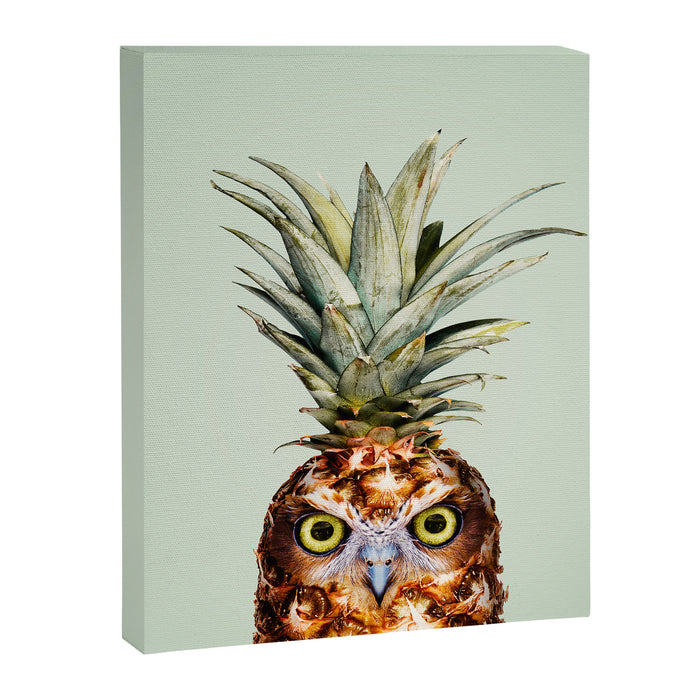 PINEAPPLE OWL Canvas Print Gallery Image 1
