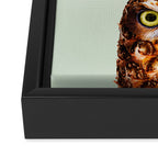 PINEAPPLE OWL Framed Canvas Print Gallery Image 3